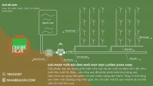 Chi phi lap dat he thong tuoi mi tu dong