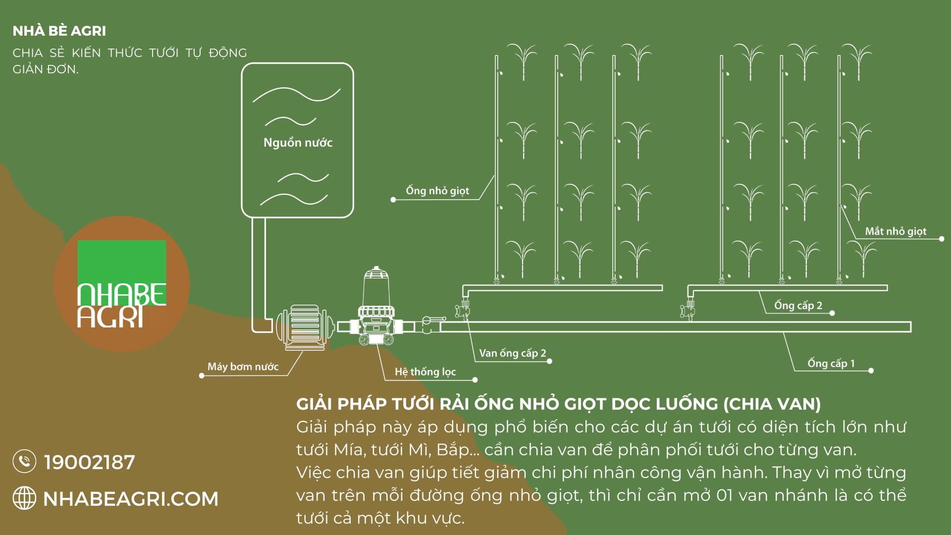 Chi phi lap dat he thong tuoi mia Chi phi lap dat he thong tuoi mia