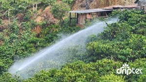 chi phí lắp đặt hệ thống tưới cà phê tự động