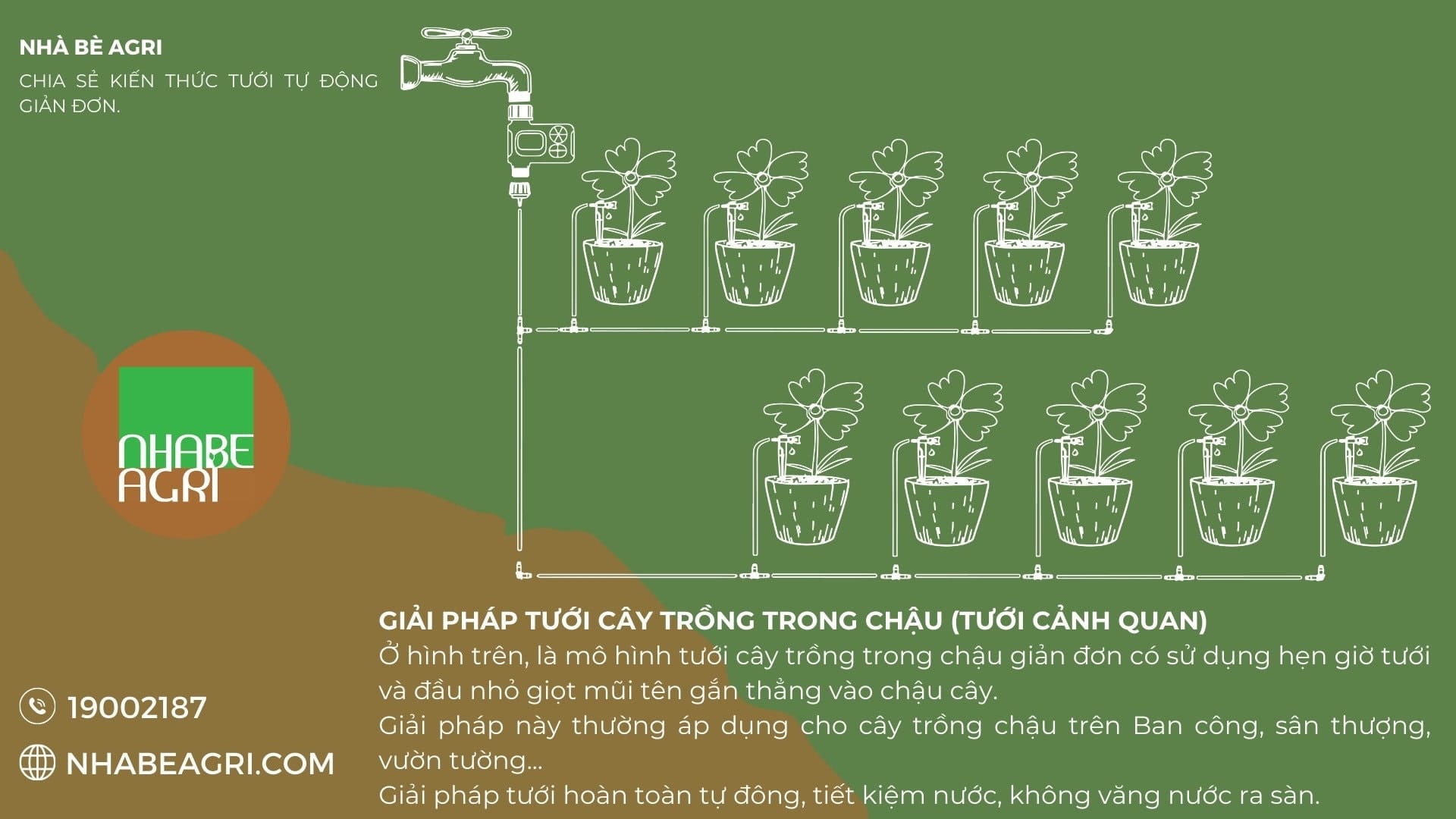 Mo hinh tuoi cay trong trong chau, tui gia the