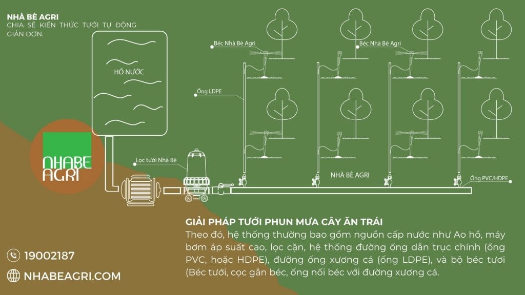 Tưới cà phê xanh lùn bằng béc tưới G5 2 Mo hinh tuoi phun mua duoi goc