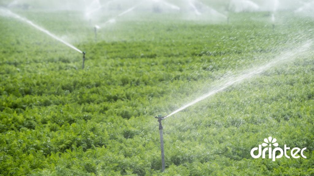 Chi phi lap dat he thong tuoi rau tu dong