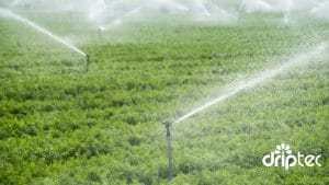 Chi phi lap dat he thong tuoi rau tu dong