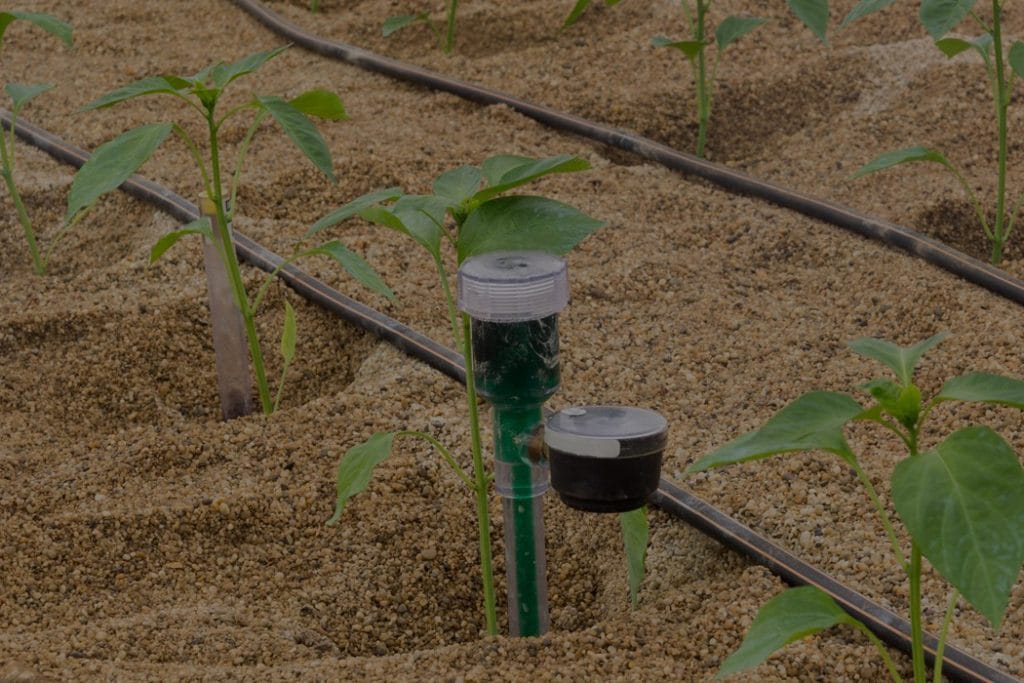 Gia phan bon hoa tan