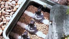 Hẹn giờ tưới tự động