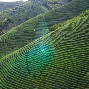DJI T25P, Máy bay nông nghiệp DJI AGRAS T25P 6 DJI T25P infor