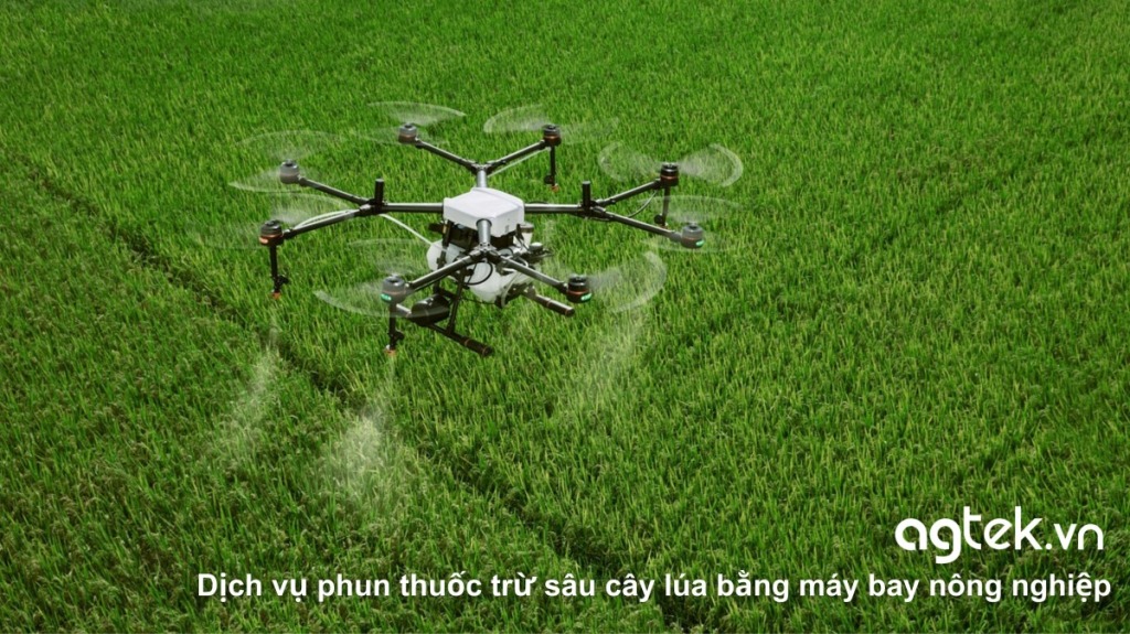 CT Group kết hợp cùng Đại học Cần Thơ mở trung tâm UAV- Robot nông nghiệp 2 Dịch vụ phun thuốc trừ sâu cây lúa bằng máy bay nông nghiệp