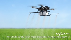 Phun thuốc trừ sâu cây mì nhanh chóng bằng máy bay không người lái