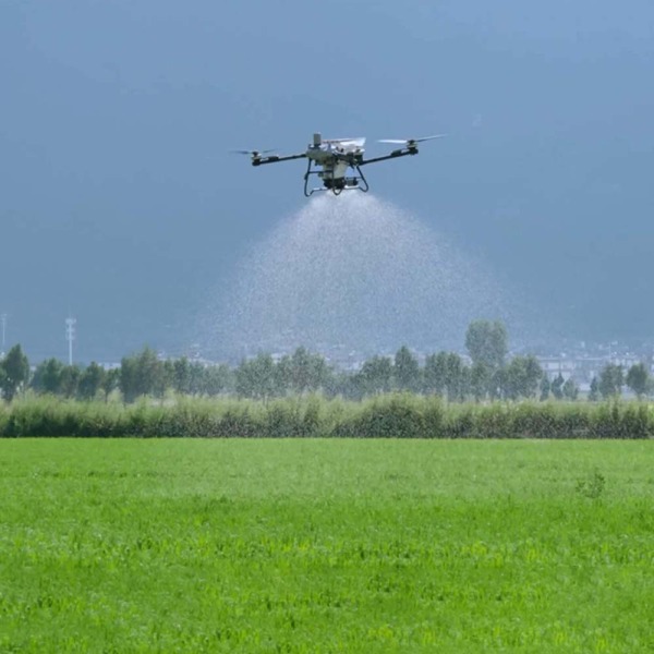 DJI rải