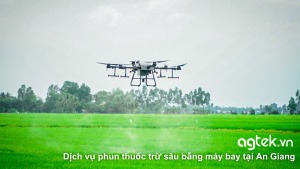 Dịch vụ phun thuốc trừ sâu bằng máy bay tại An Giang