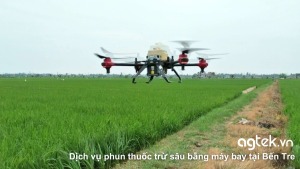 Dịch vụ phun thuốc trừ sâu bằng máy bay tại Bến Tre