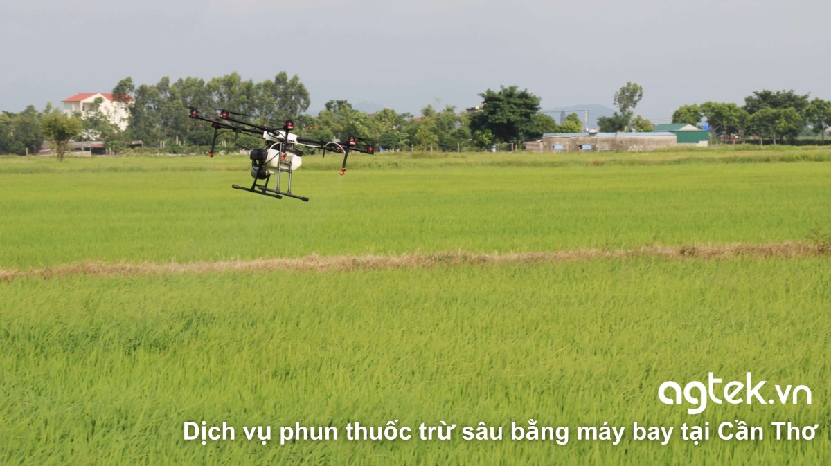 dịch vụ phun thuốc trừ sâu bằng máy bay tại Cần Thơ