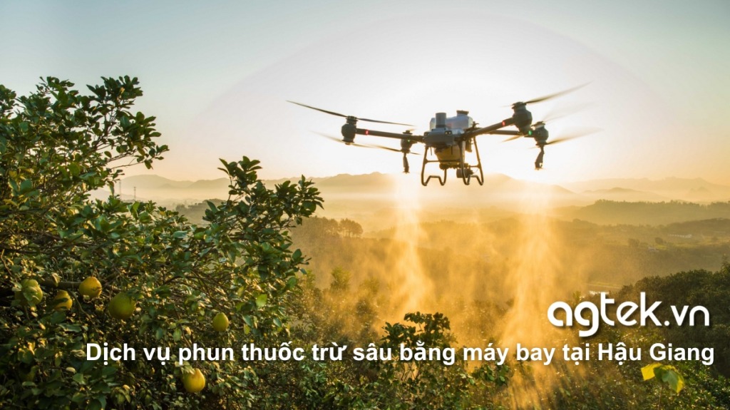 Dịch vụ phun thuốc trừ sâu bằng máy bay tại Hậu Giang 6 Bước 9 Dịch vụ phun thuốc trừ sâu bằng máy bay tại Hậu Giang