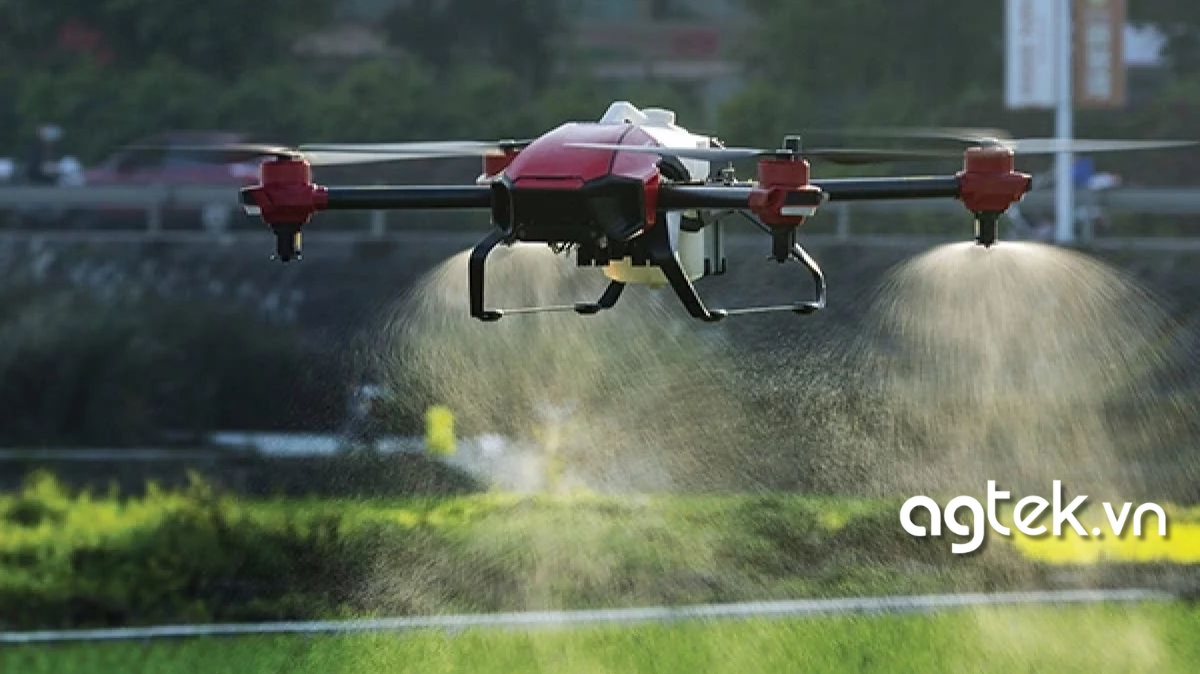 Dịch vụ phun cây thuốc lá bằng drone – Giúp bảo vệ cây toàn diện 3 Quy trình 6 bước nghiêm ngặt dịch vụ phun thuốc trừ sâu bằng máy bay tại Hậu Giang