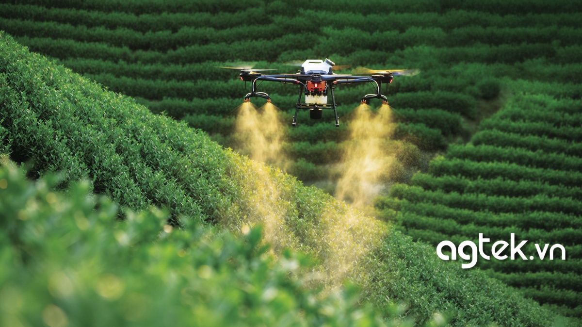 5+ lợi ích dịch vụ phun thuốc trừ sâu bằng máy bay tại Bạc Liêu 2 Tại Nhà Bè Agri có đa dạng dịch vụ từ giám sát tình trạng cây trồng đến cho thuê và cung cấp máy bay