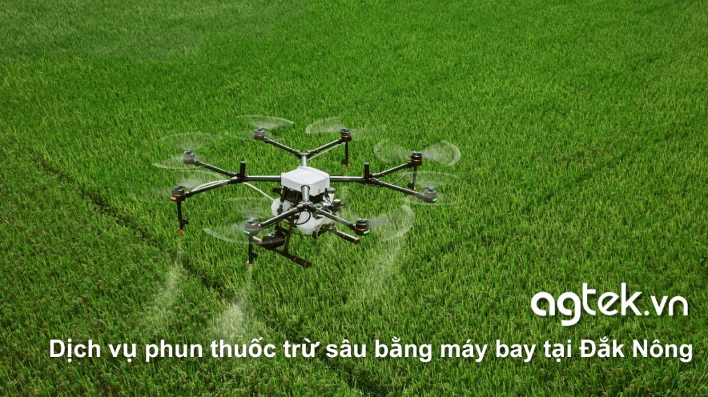 Dịch vụ phun thuốc trừ sâu bằng máy bay tại Đắk Nông