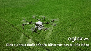 Dịch vụ phun thuốc trừ sâu bằng máy bay tại Đắk Nông