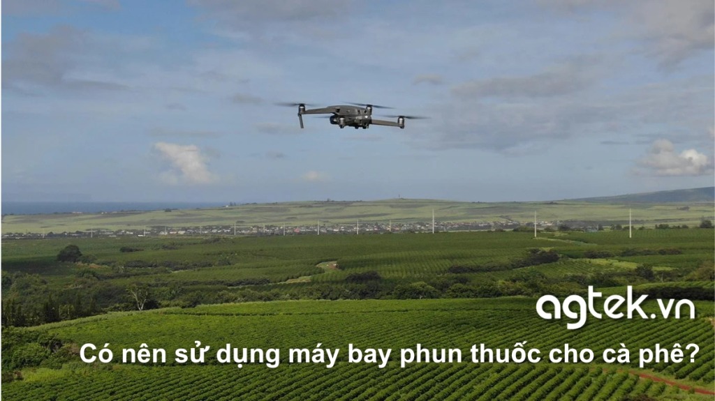 Có nên sử dụng máy bay phun thuốc cho cà phê? Lợi ích và chi phí đầu tư