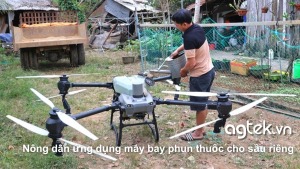 Nông dân ứng dụng máy bay phun thuốc cho sầu riêng