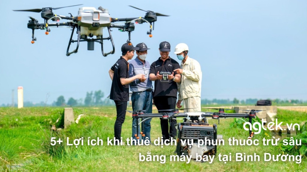5 Lợi ích khi thuê dịch vụ phun thuốc trừ sâu bằng máy bay tại Bình Dương 8 5+ Lợi ích khi thuê dịch vụ phun thuốc trừ sâu bằng máy bay tại Bình Dương