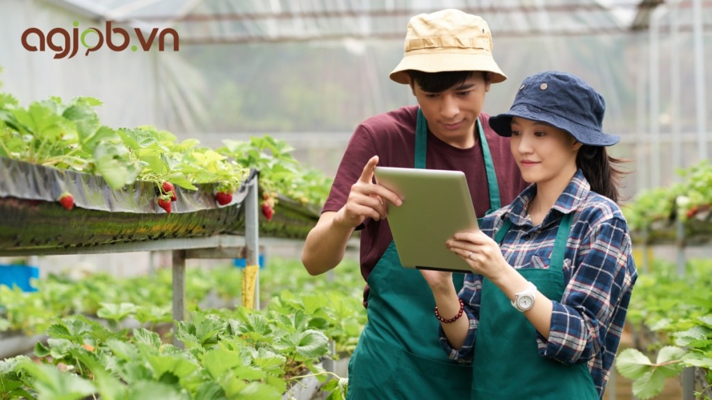 7 việc làm kỹ sư nông nghiệp phổ biến và triển vọng hiện nay 13 7 việc làm kỹ sư nông nghiệp phổ biến và triển vọng hiện nay