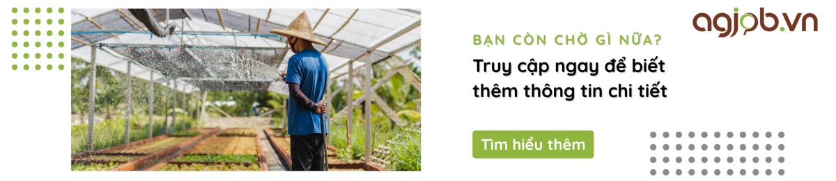 Agjob Banner 2 Agjob Banner 2