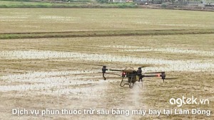 Dịch vụ phun thuốc trừ sâu bằng máy bay tại Lâm Đồng