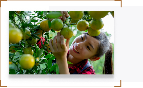 Thiet bi tuoi tu dong Nghe An
