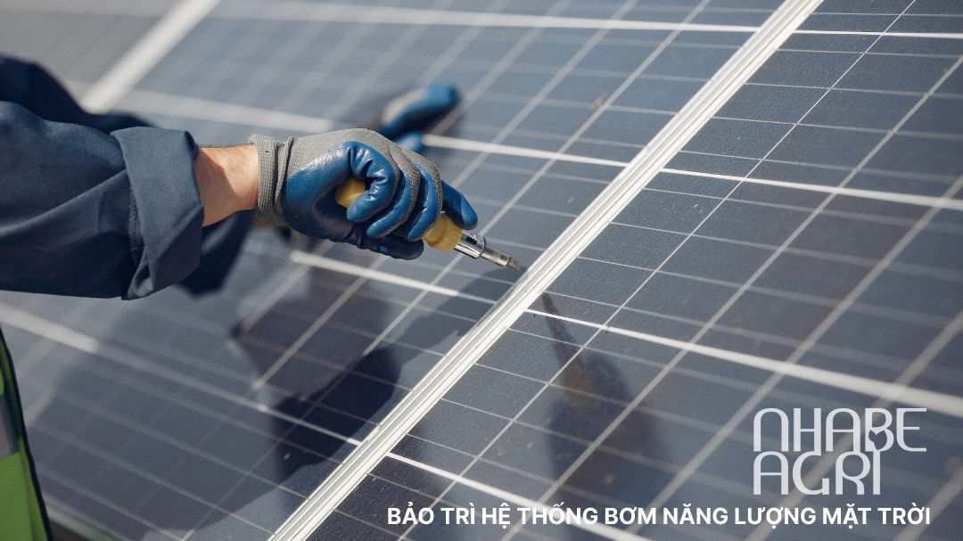 Bao tri he thong bom nang luong mat troi