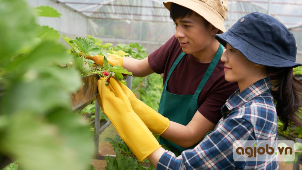 Co-hoi-viec-lam-nganh-nong-nghiep-cong-nghe-cao