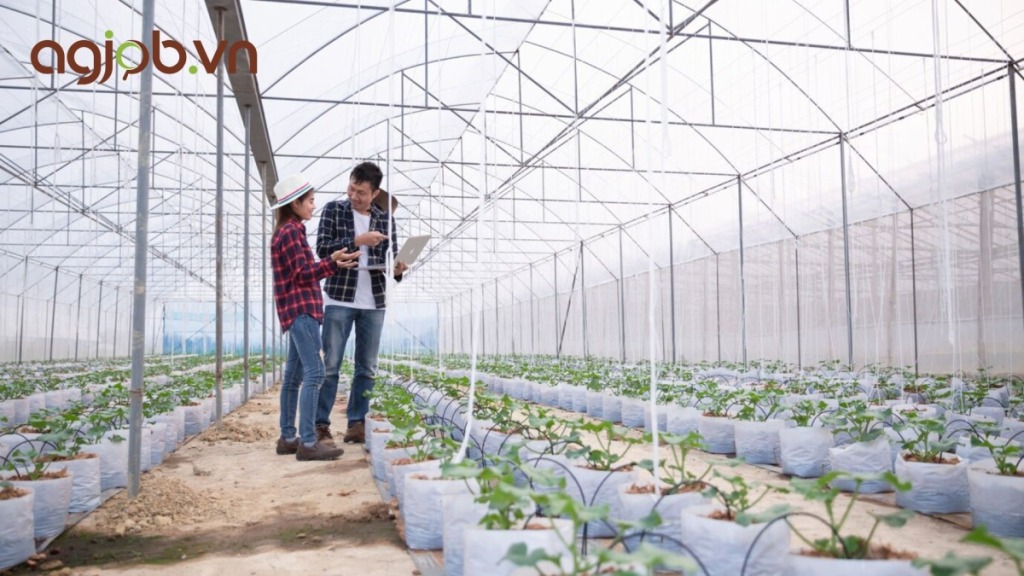 Lộ trình nghề nghiệp việc làm khuyến nông – 7 Việc làm phổ biến hiện nay 6 Lộ trình nghề nghiệp việc làm khuyến nông – 7 Việc làm phổ biến