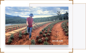 Thi cong he thong tuoi tu dong chuyen nghiep Nha Be Agri