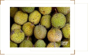 Thị trường sầu riêng