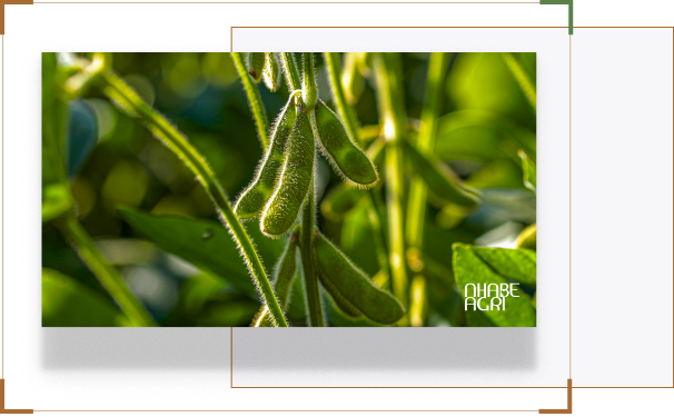 Thiet bi tuoi tu dong Quang ngai