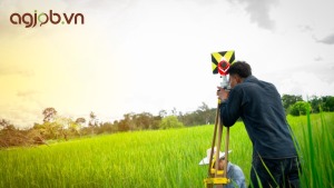 Xu hướng việc làm ngành môi trường đến 2030 Những nghề ‘xanh’ đang lên ngôi