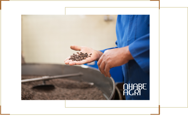 Xử lý sau thu hoạch Cà phê