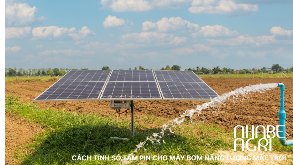 Cach tinh so tam pin cho bom nang luong mat troi