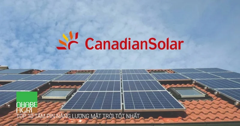 Review Chi Tiết Top 10 Tấm Pin Năng Lượng Mặt Trời Tốt Nhất 2025 5 Canadian Solar Top 10 Tấm Pin Năng Lượng Mặt Trời Tốt Nhất