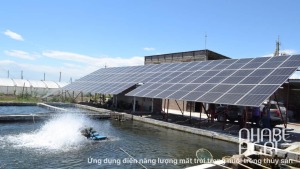 Dien nang luong mat troi trong nuoi trong thuy hai san