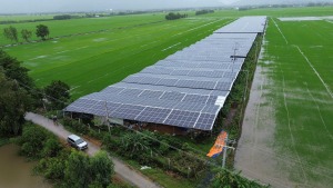 Tại An Giang, Nhà Bè Agri mang đến giải pháp lắp đặt hệ thống điện mặt trời toàn diện