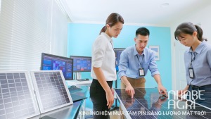 Kinh nghiem mua tam pin nang luong mat troi