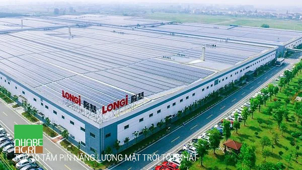 Review Chi Tiết Top 10 Tấm Pin Năng Lượng Mặt Trời Tốt Nhất 2025 3 LONGi Solar top 10 Tấm Pin Năng Lượng Mặt Trời Tốt Nhất