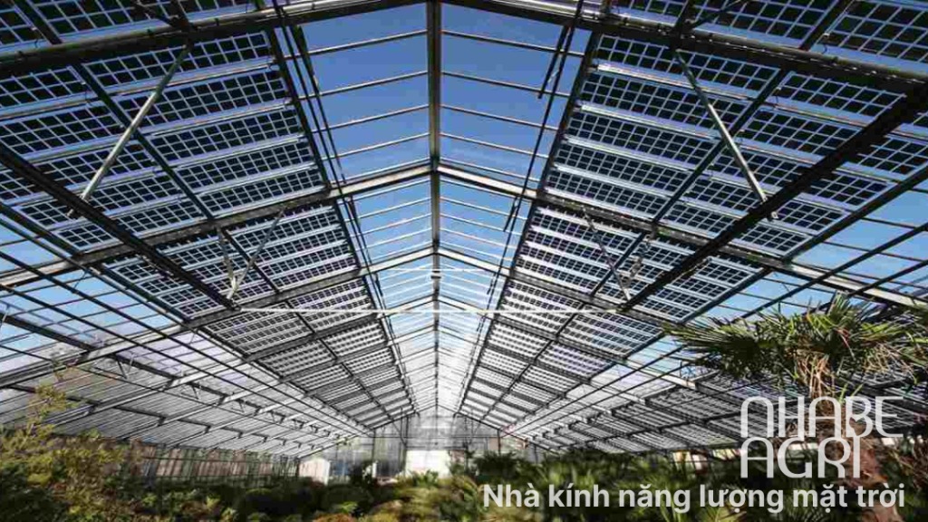 Điện năng lượng mặt trời nhà kính 2 Nha kinh nang luong mat troi
