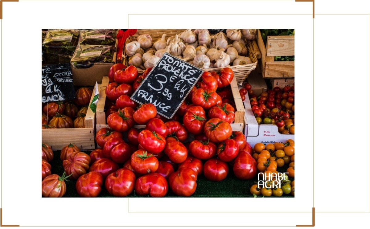 Thị trường cà chua