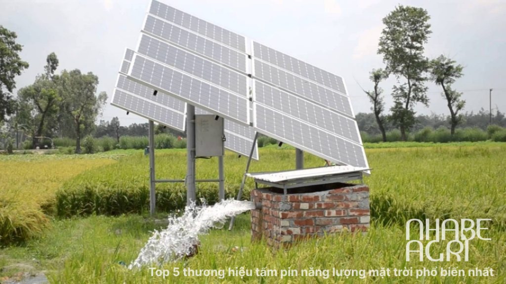 Top 5 thương hiệu tấm pin năng lượng mặt trời phổ biến nhất