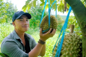 Trang trại sầu riêng lớn nhất Bình Phước Queen farm