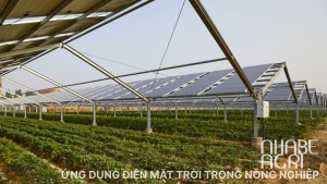 Ung dung dien mat troi trong nong nghiep