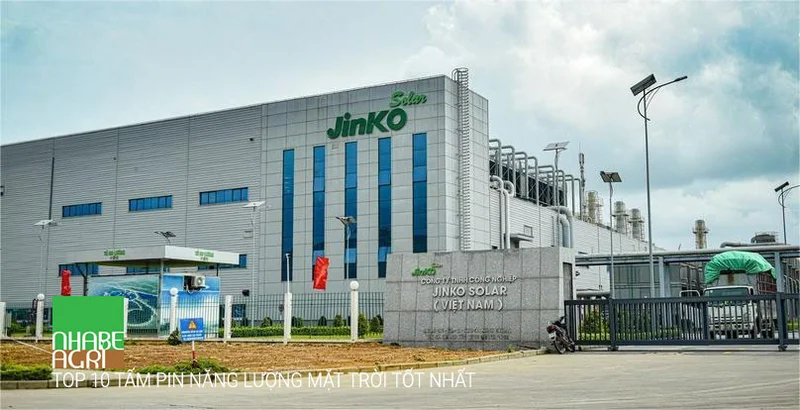 Review Chi Tiết Top 10 Tấm Pin Năng Lượng Mặt Trời Tốt Nhất 2025 2 jinko solar top 10 Tấm Pin Năng Lượng Mặt Trời Tốt Nhất