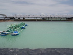 Mối liên hệ giữa thủy sản và năng lượng điện mặt trời trong biến đổi khí hậu