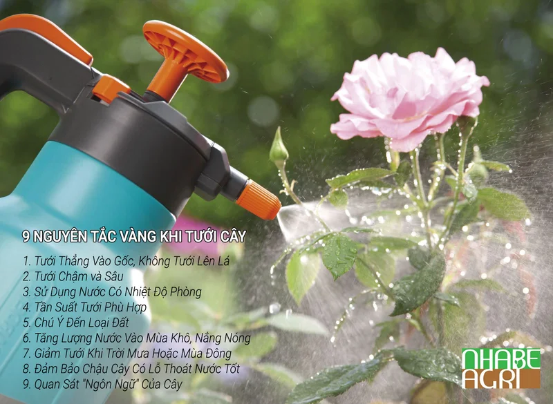 Hướng Dẫn Tưới Cây Đúng Cách Toàn Tập: 9 Nguyên Tắc Vàng Giúp Vườn Luôn Xanh Tốt 4 9 Nguyên Tắc Vàng Khi Tưới Cây